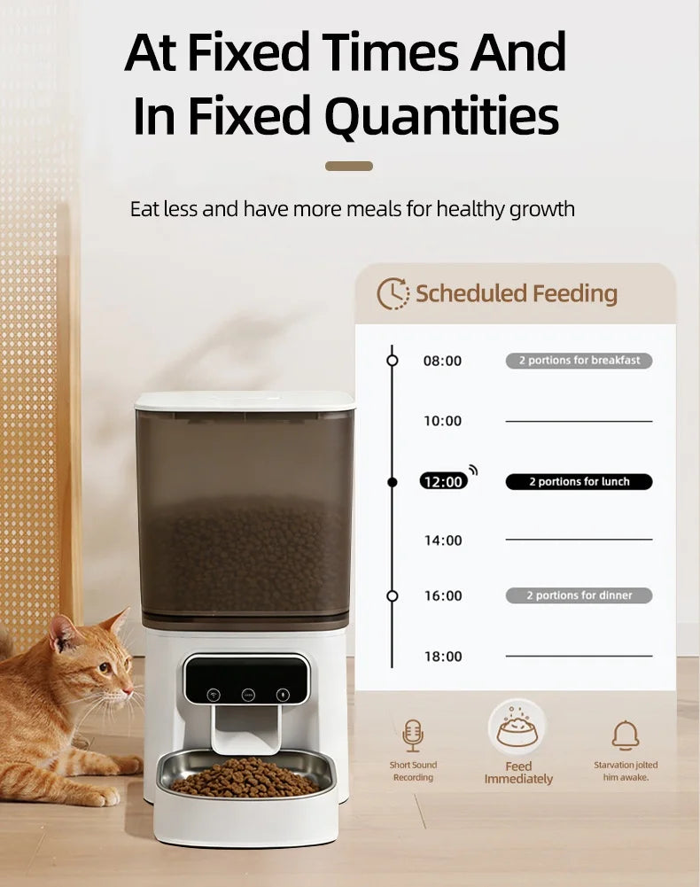Cross-border New Automatic Feeder Cat 4L Smart Remote Control App Control Timing Quantitative Pet No Food Jam Dog