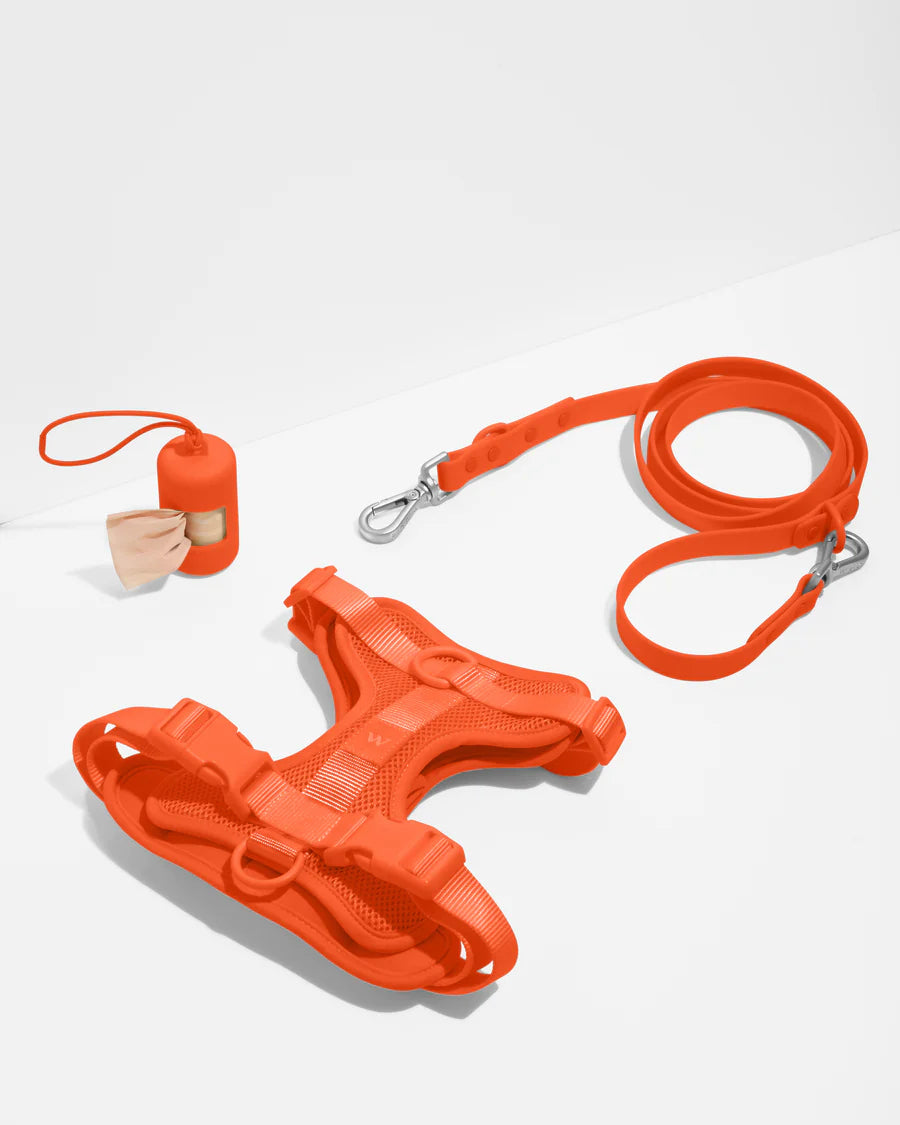 Adjustable Nylon Oxford Pet Leash Set - No-Pull Dog Harness Vest with Reflective Ribbons - Orange