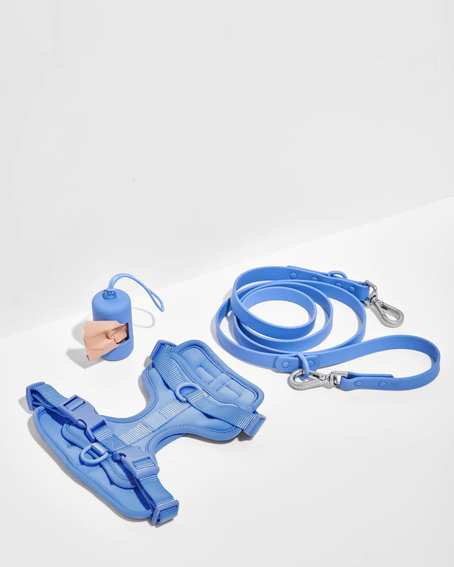 Adjustable Nylon Oxford Pet Leash Set - No-Pull Dog Harness Vest with Reflective Ribbons - Blue
