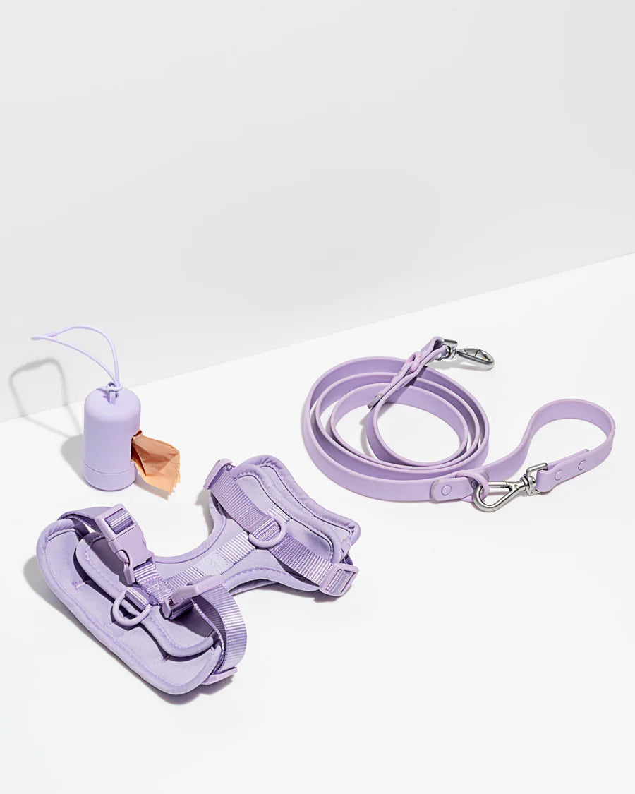 Adjustable Nylon Oxford Pet Leash Set - No-Pull Dog Harness Vest with Reflective Ribbons - Purple